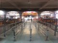  kaila devi maa